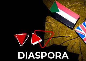 DIASPORA Small_Banner