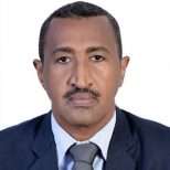 Taj-Alsir Ahmed Ibrahim, Investment Consultant, Federal Ministry of Infrastructure and Transport, Sudan