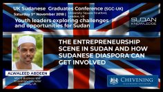 مشهد ريادة الأعمال في السودان وكيف يمكن للسودانيين في الشتات المشاركة؟