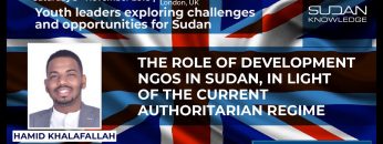 دور المنظمات غير الحكومية التنموية في ظل الحكم الشمولي – دراسة حالة عن السودان