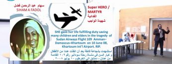 تحقيق حول أداء الناقل الوطني في الدول النامية ؛ دراسة حالة سودانير- Ammar Hamoda