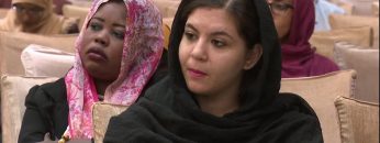 التمويل بواسطة السودانيين خارج السودان وحيز السياسات للحكومة السودانية برنامج الأمم المتحدة الإنمائي