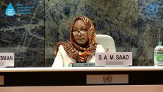 Combating desertification in Sudan: experiences and lessons learned Dr. Sarra A  M  Saad
