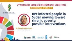 HIV-infected people in Sudan moving toward chronic poverty: possible interventions