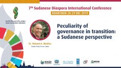 Peculiarity of governance in transition: a Sudanese perspective