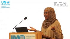 Post-traumatic stress disorder and Sudan uprising – Amal Makki Dafaalla