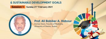 Problems facing Sudan in achieving SDG4 – Professor Ali Babiker Ali Habour