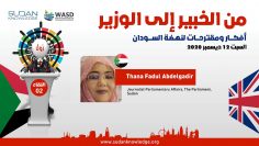 The Future of Media in Sudan – Thana Fadul Abdelgadir