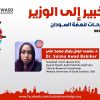 دكتورة سلمى عوض بابكر محمد – We should Communicate with successful health ministers – تسجيل قصير