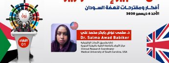 دكتورة سلمى عوض بابكر محمد – We should Communicate with successful health ministers – تسجيل طويل